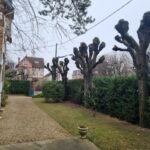 elagage maisons laffitte 78